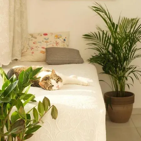 Appartement Anatoli
