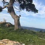 Apartament Anatoli *