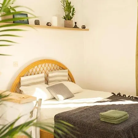 Anatoli Lejlighed Ampelas