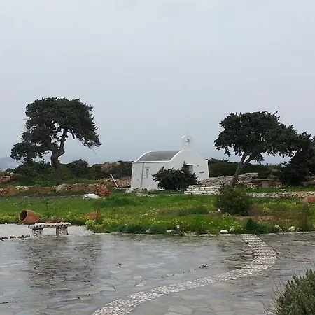 Lejlighed Anatoli Ampelas