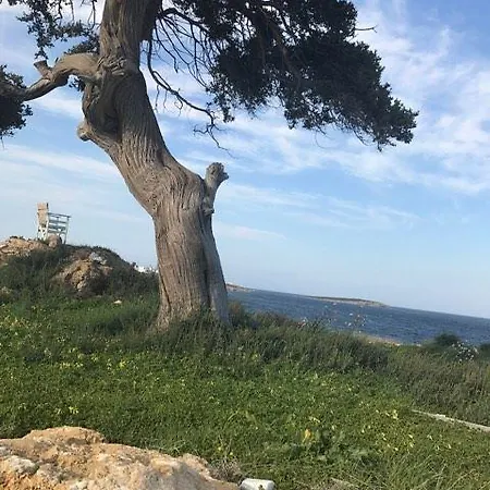 Apartmán Anatoli *