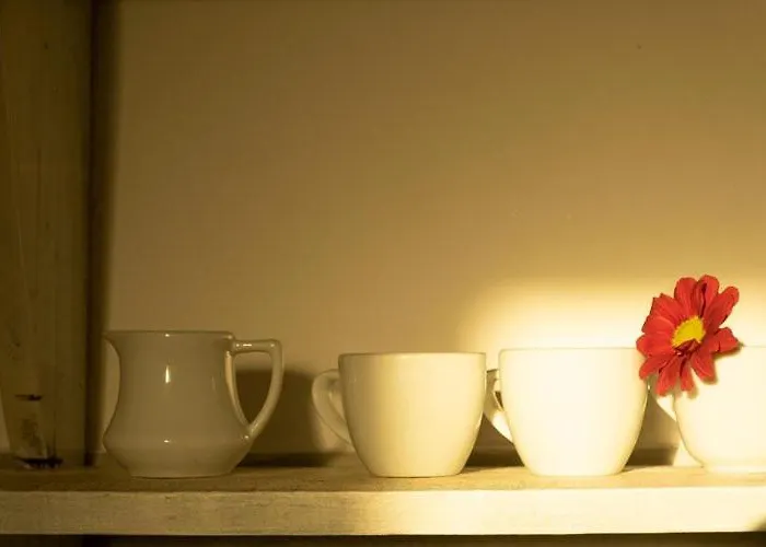 Anatoli Appartement *